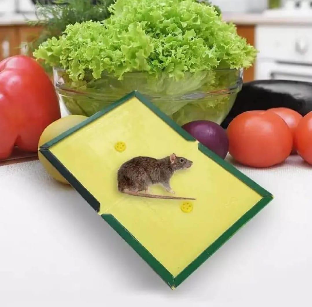 Mouse Glue Trap - Mouse Glue Board - Rat Killer Trap - Rat Killer Glue Book - (Pack Of 5 )
